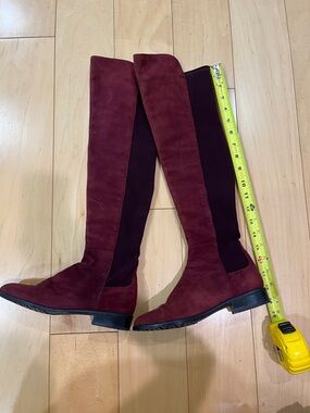 Stuart Weitzman Burgundy Over-the-Knee Suede Boots